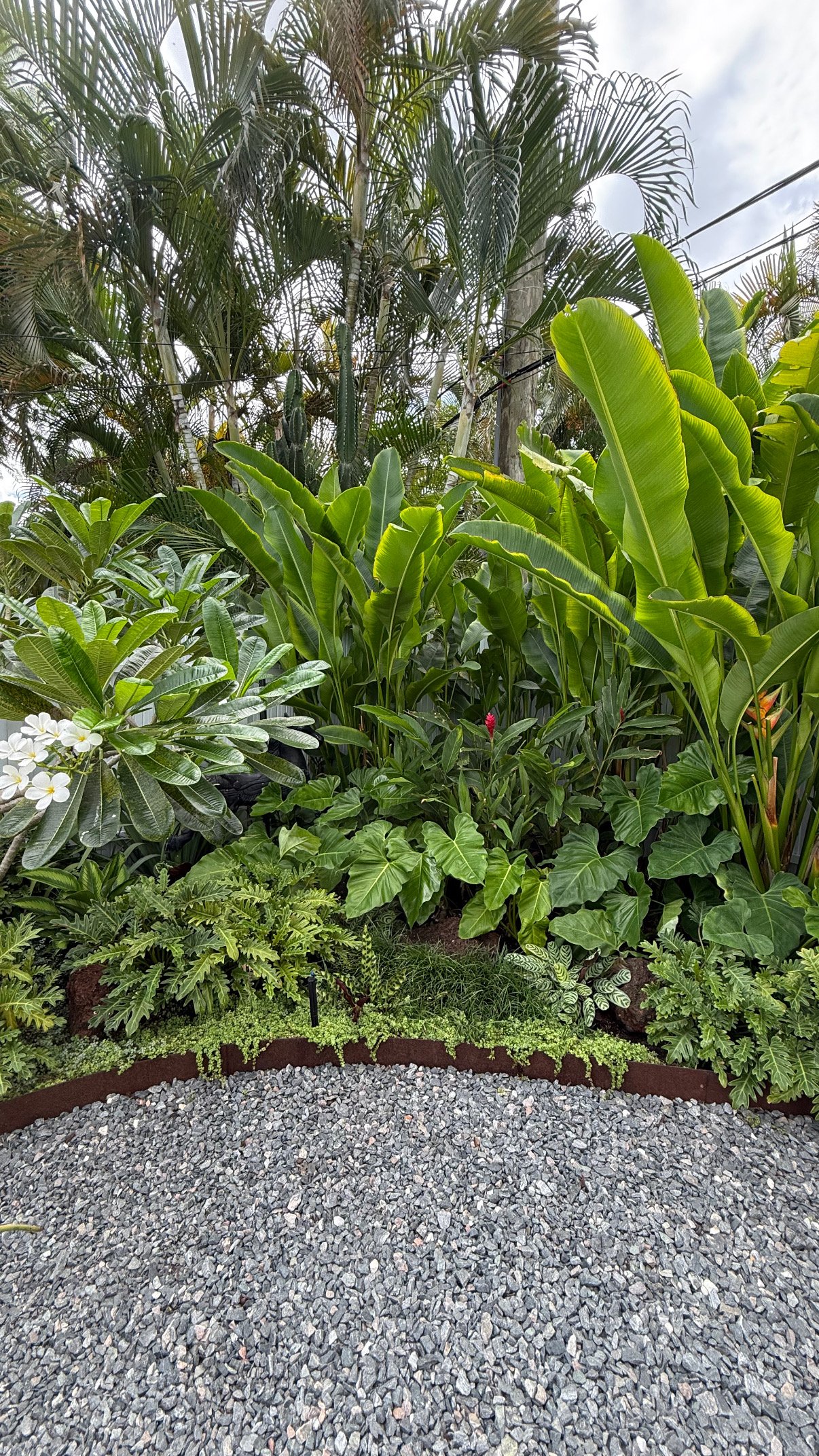 74E74133-2DD1-44FA-8CD0-8E6C267D35AA (1)