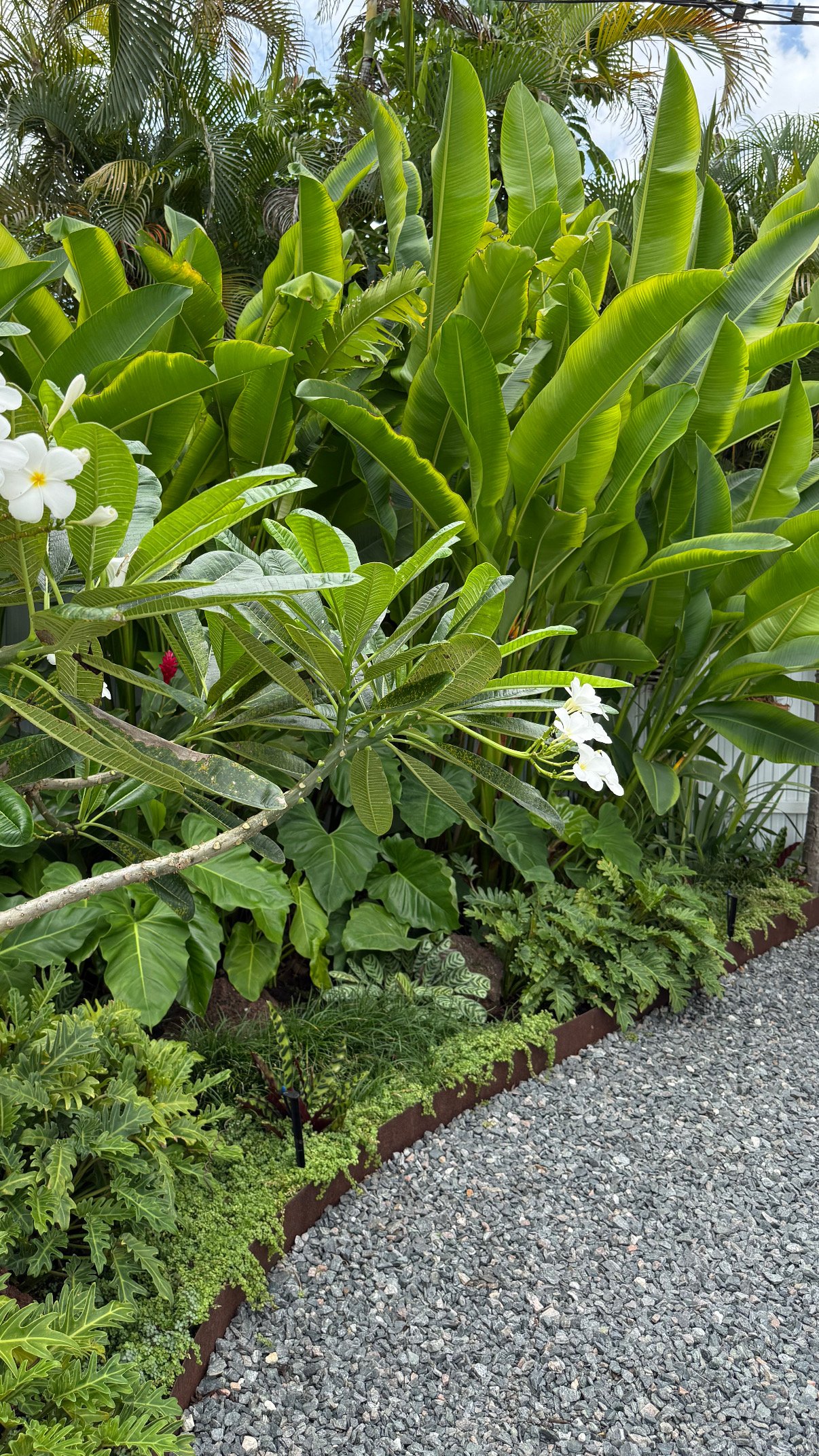 BF091B01-2123-47D0-BA57-09416A0E62F7 (2)